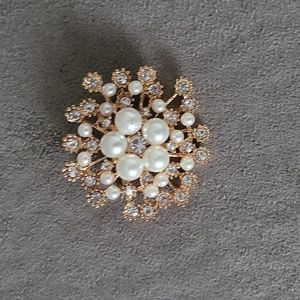 Gorgeous Fashion Brooch